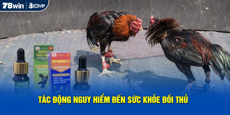 Tác động nguy hiểm đến sức khỏe đấu thủ